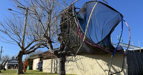 'Horrendous' winds on Far South Coast reignite weeks-old pile burns