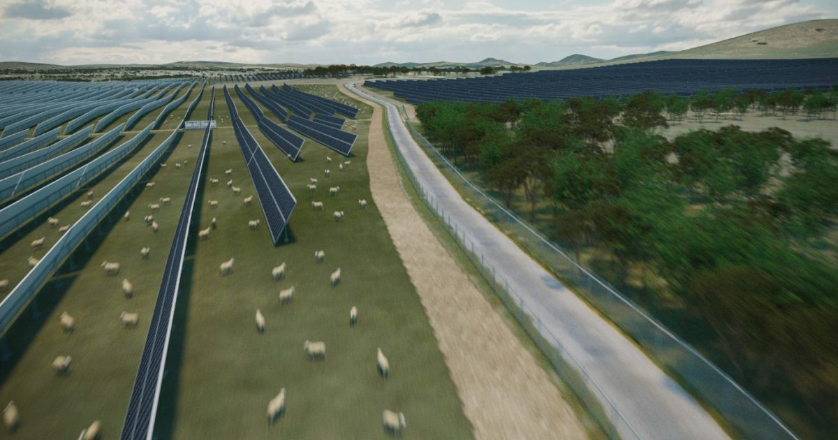 In the public interest: Residents lose appeal against Wallaroo Solar Farm approval