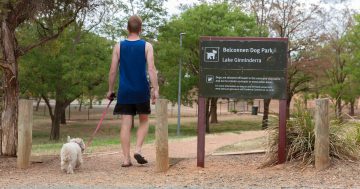 Dogs must have minimum three hours a day of human contact under proposed new ACT laws
