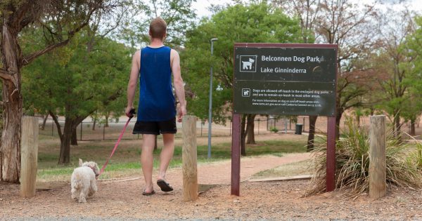 Dogs must have minimum three hours a day of human contact under proposed new ACT laws