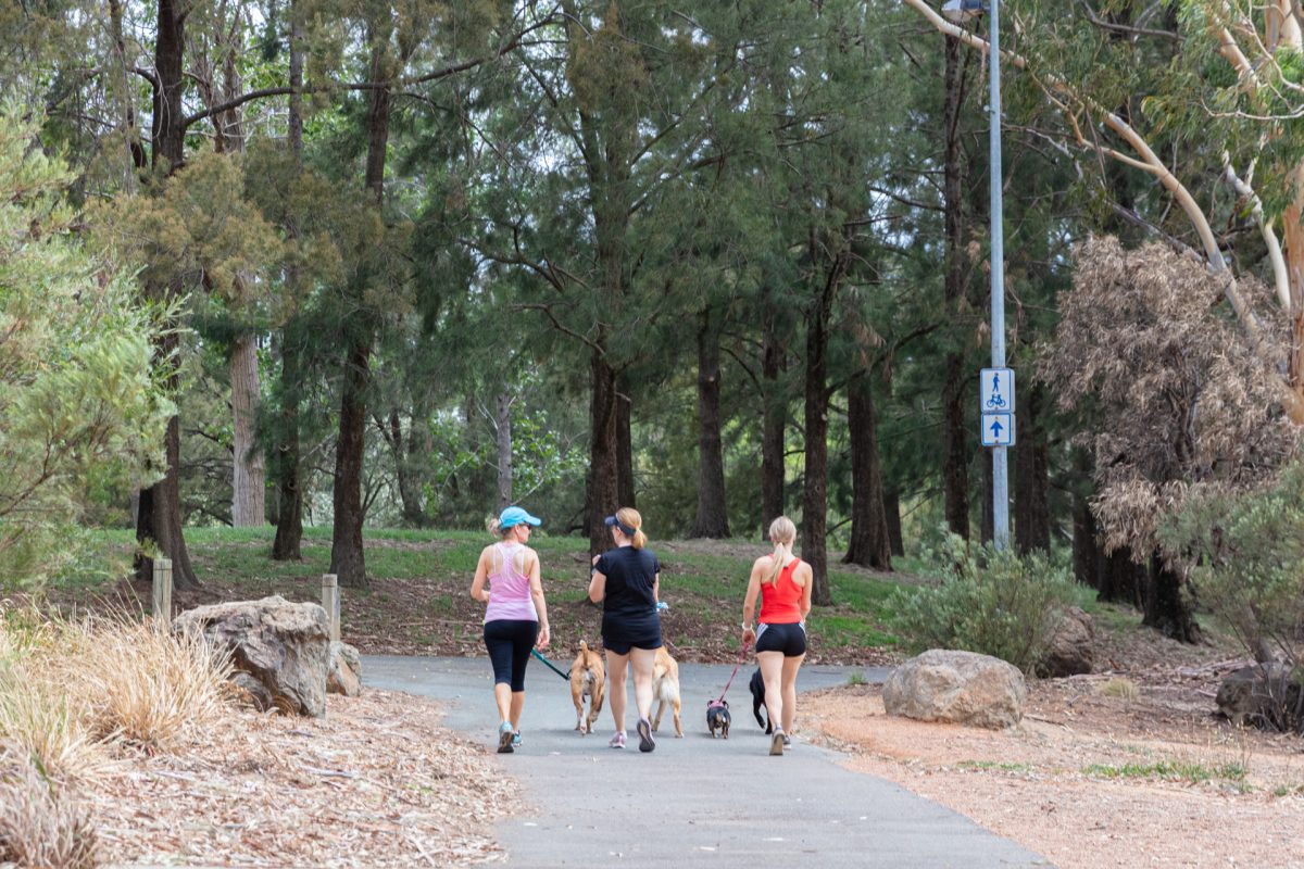 Three women dog walking through park.