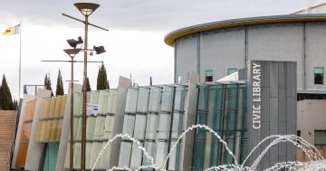 Declining libraries on borrowed time without government lifeline