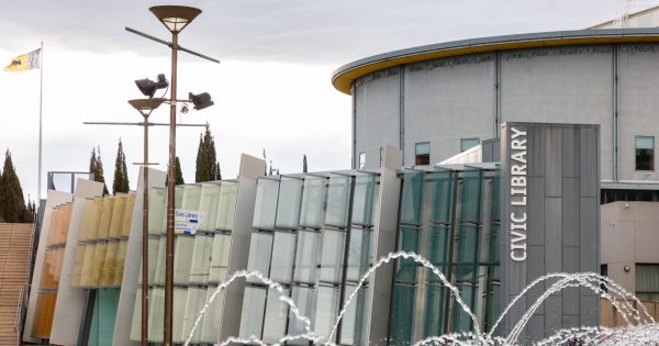 Declining libraries on borrowed time without government lifeline