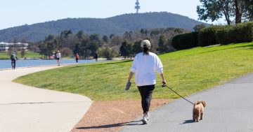 'Prolonged and intense' heat to sweep Canberra, southern NSW this long weekend