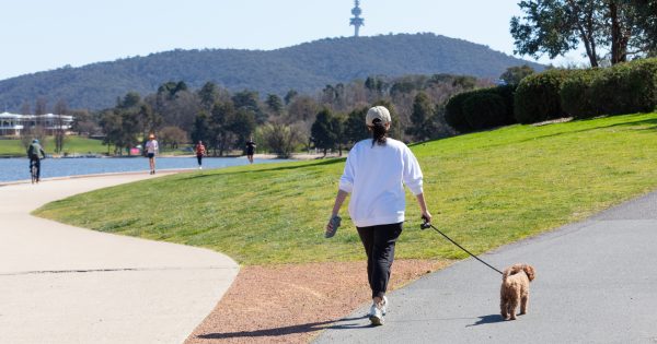 'Prolonged and intense' heat to sweep Canberra, southern NSW this long weekend