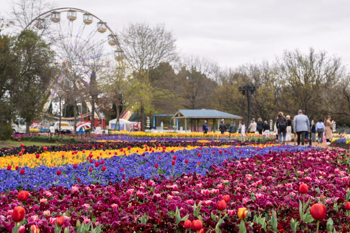 People wandering through flower gardens