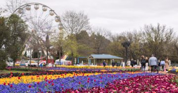 Floriade's carnival rides have a new operator. What does that mean for the Ferris wheel?