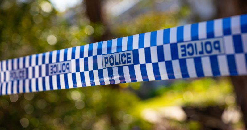 Teens allegedly broke into home via pet door before assaulting resident