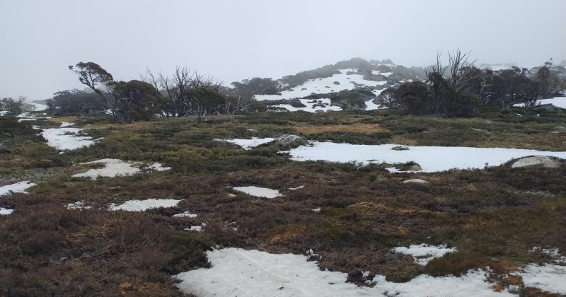 Missing plane lost over 'very rugged terrain' as search continues into third day
