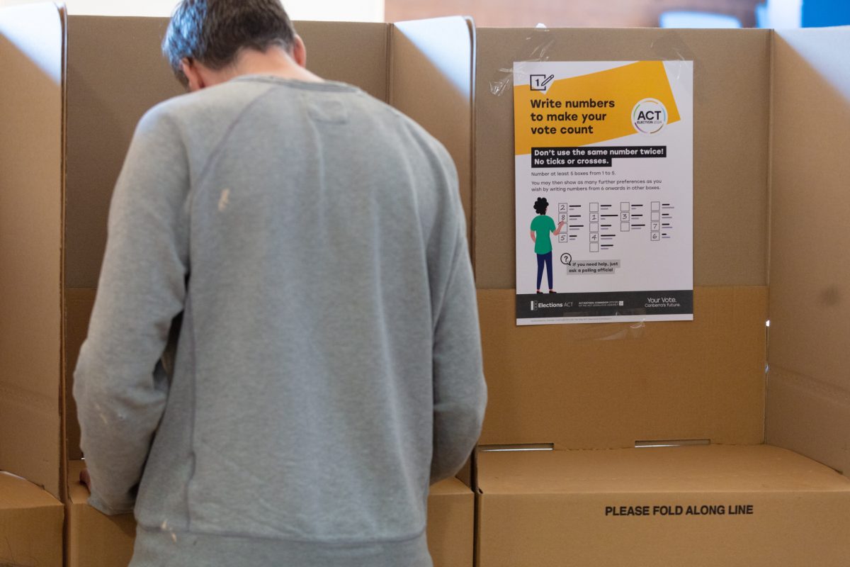 back of a person at a voting booth