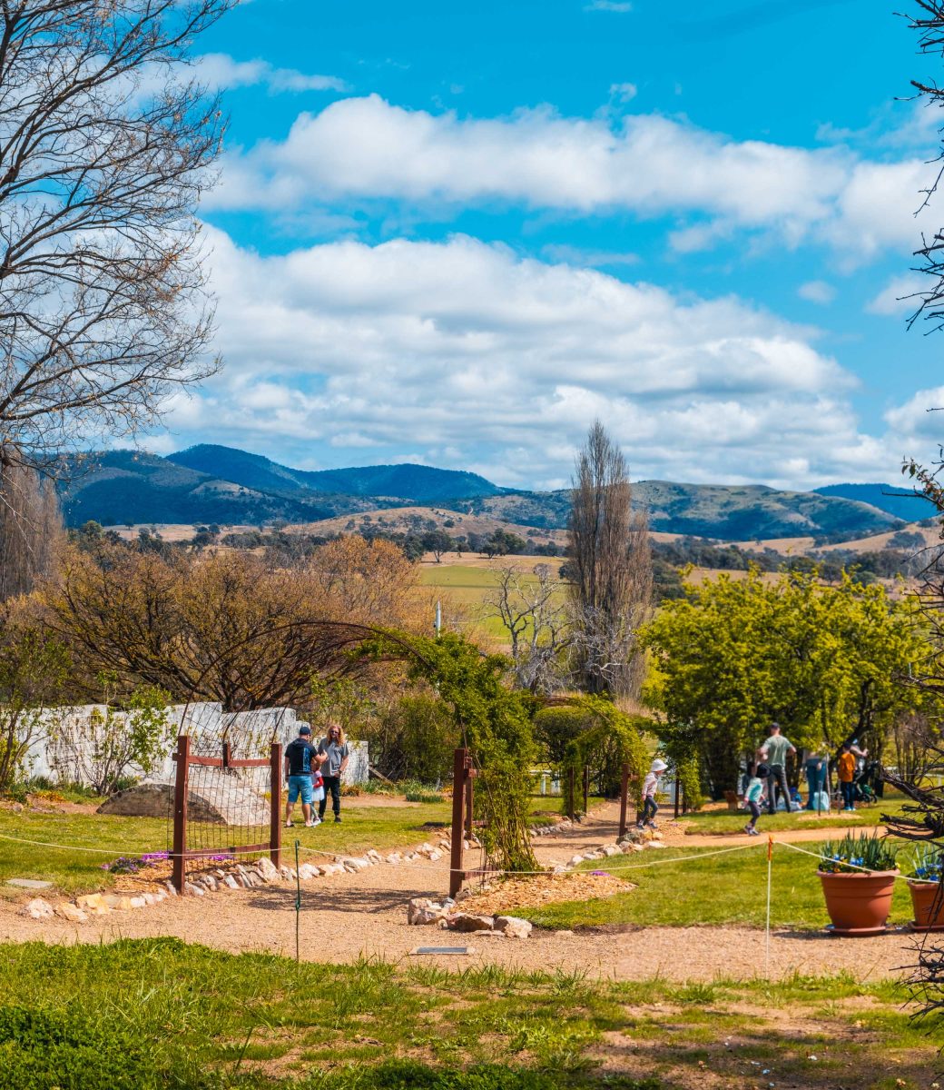 Group explores lanyon homestead