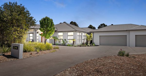 Auction results 28 October - 3 November 2024