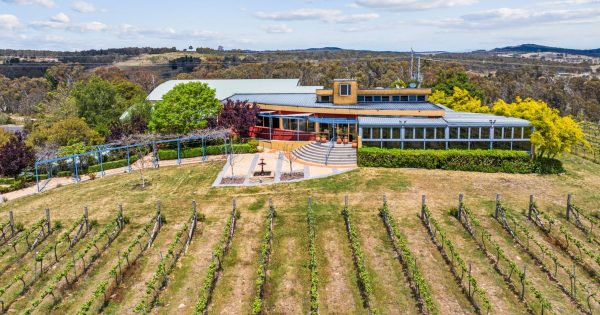 Former winery partners dispute version of events leading to sale of Wamboin property