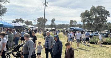 Hartley Hall Markets