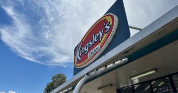 Attention chicken-loving artists: Kingsley's wants your work for a new merch range