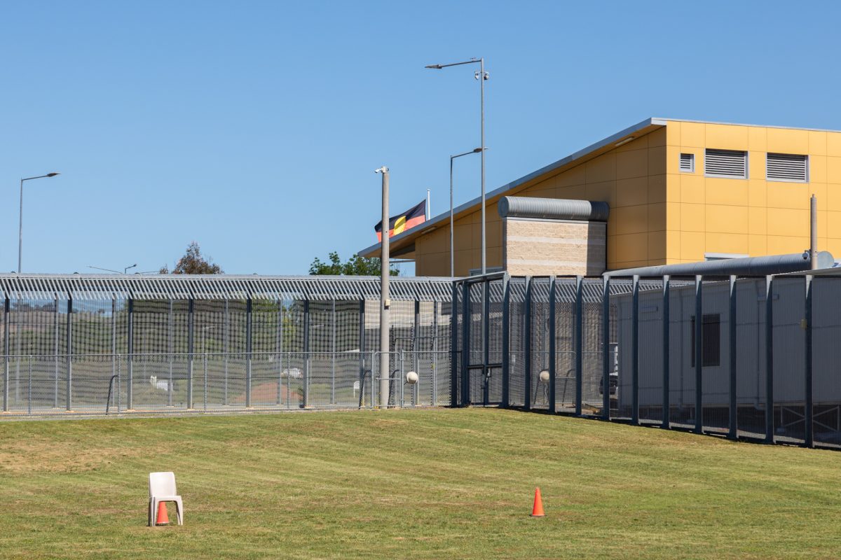 Grassy area within fence