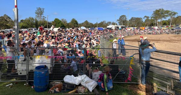 Council approves proposal for primitive camping ground at Moruya Showground
