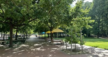 What the CBD and town centres need are more Glebe Parks