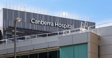 Independent inquiry into health system to be set up as Libs, Greens join forces
