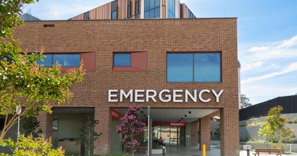 Call for 'elective surgery blitz' to clear backlog, more primary health funding to combat ED wait times