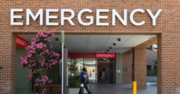 320 ED presentations turning into the average day for Canberra Hospital staff