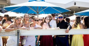 Canberra businesses know Thoroughbred Park's a sure bet for Christmas parties