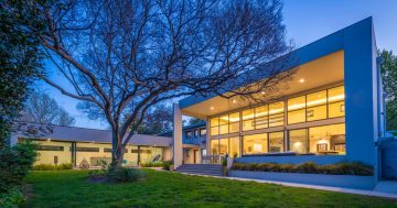 The Look In with Tania Vrancic: a home full of expression