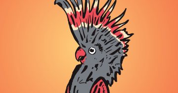 Melbourne International Comedy Festival Roadshow