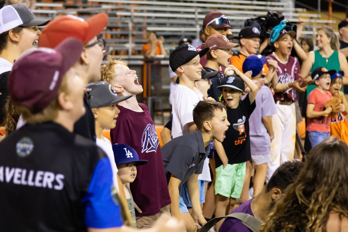 Group of baseball fans