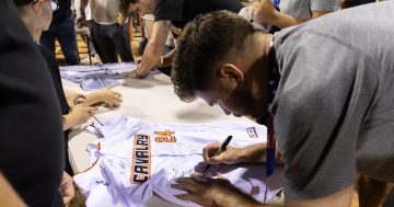Canberra Cavalry looking for new owners as ABL terminates license agreement