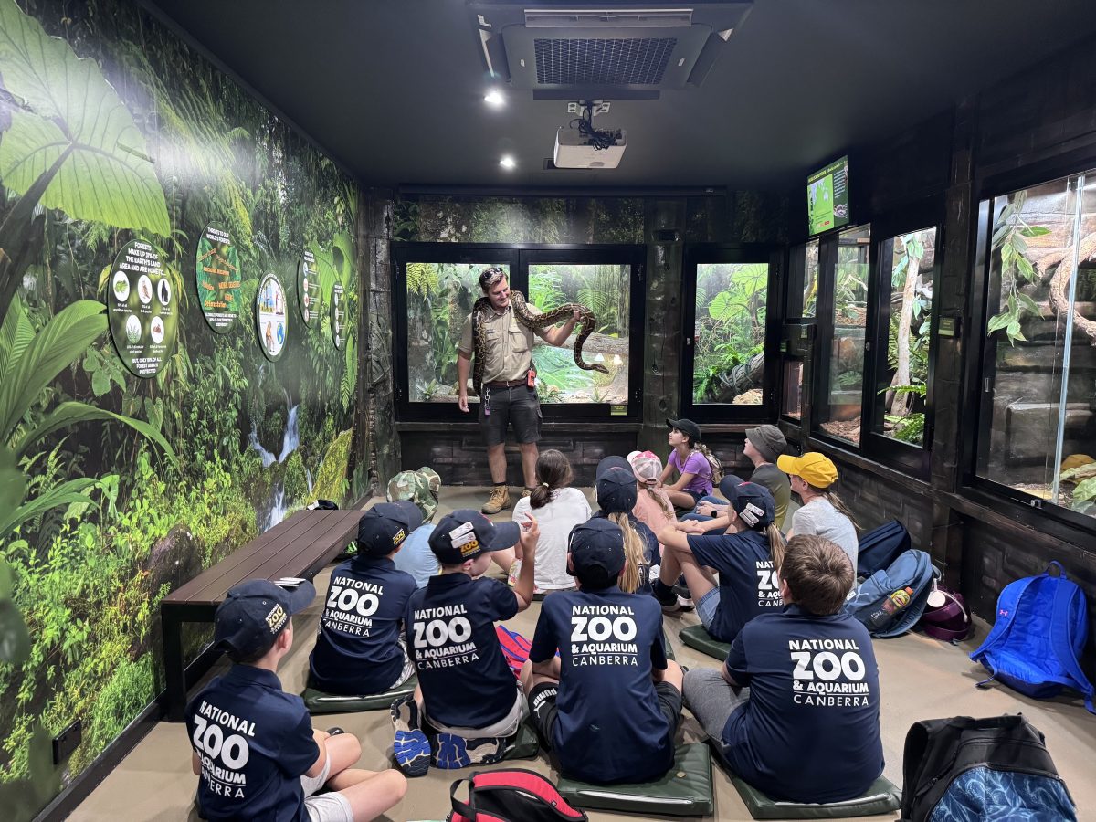 kids sitting at reptile info session