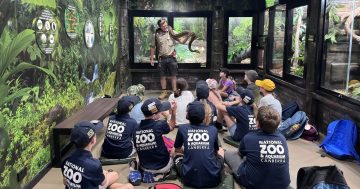 Junior Zoo Keeper Conservation Celebration Days