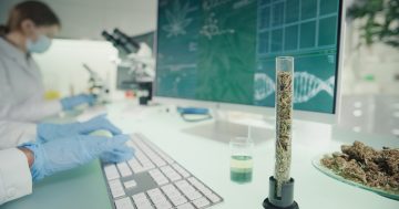 A Parasite Pandemic arrives in Canberra for National Science Week ... but you can help stop it