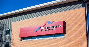 ACT Government paid $440,000 to keep Brindabella running