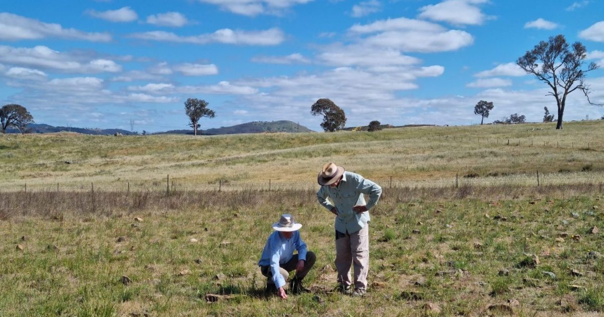 Dive into local research fuelling the bush capital’s future | Region Canberra