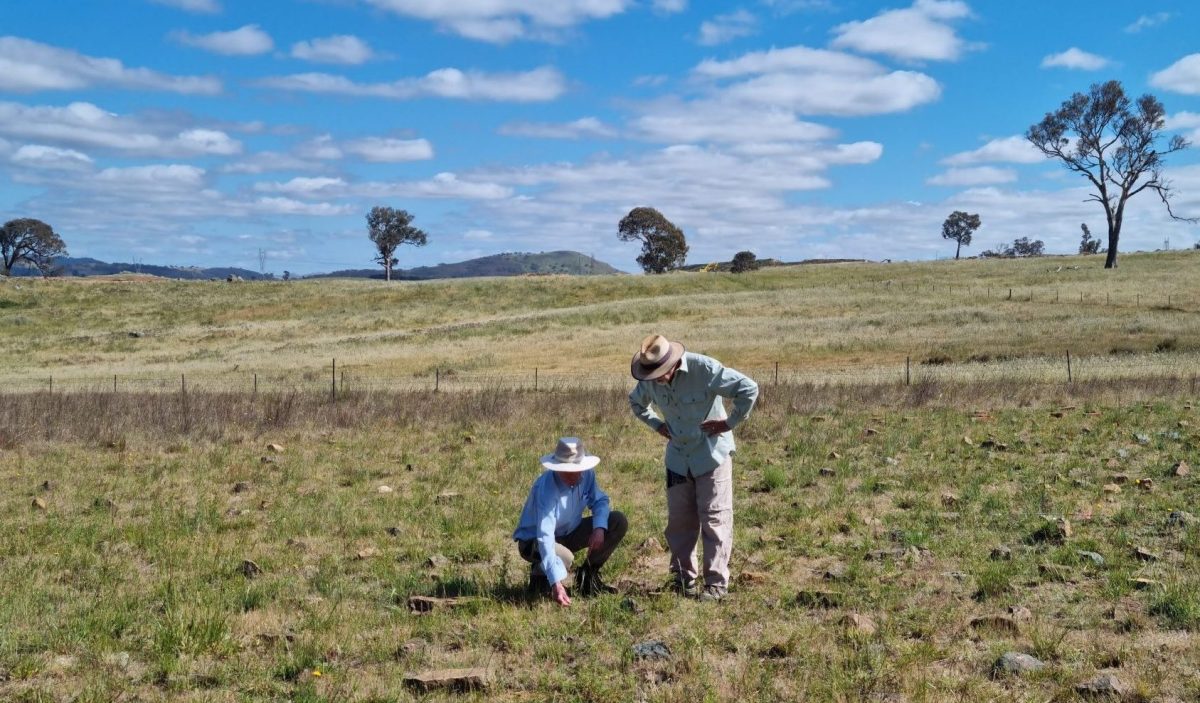 two people looking at grass in a field