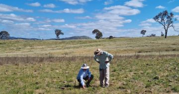 Dive into local research fuelling the bush capital's future
