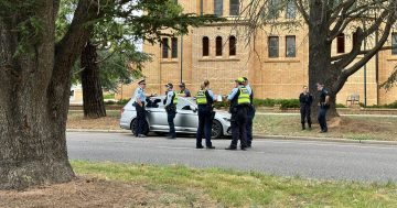 Signalised pedestrian crossing along Canberra Avenue at St Edmund's approved for construction