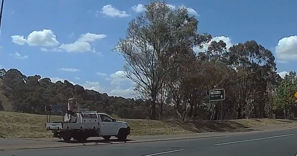 WATCH: Man filmed smashing window of moving ute during alleged road rage rampage