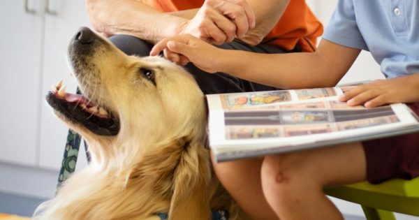 Story Dogs on Sunday at the National Library