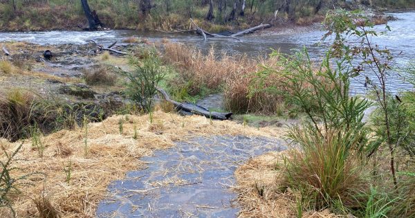 Snowy Hydro fined $60k after river, dam were polluted in mountains