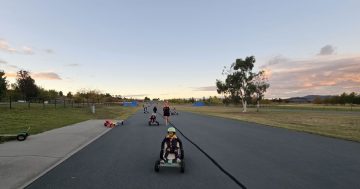 Scout's honour, these billy carts meant business