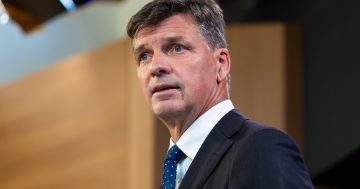 Quotas for women? That's not how democracy works, says Angus Taylor