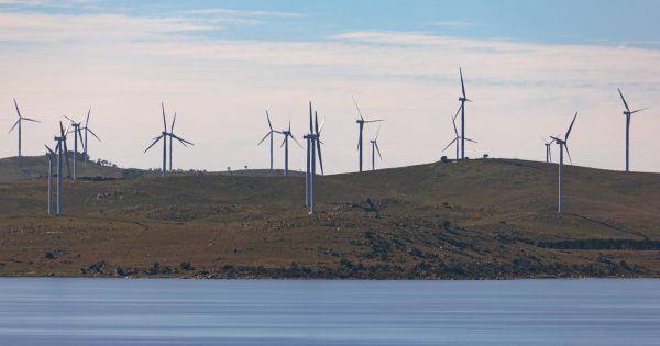 Renewables nimbyism needs to stop to lower power prices