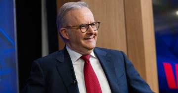 Albanese outpaces Morrison in government secrecy, new report finds