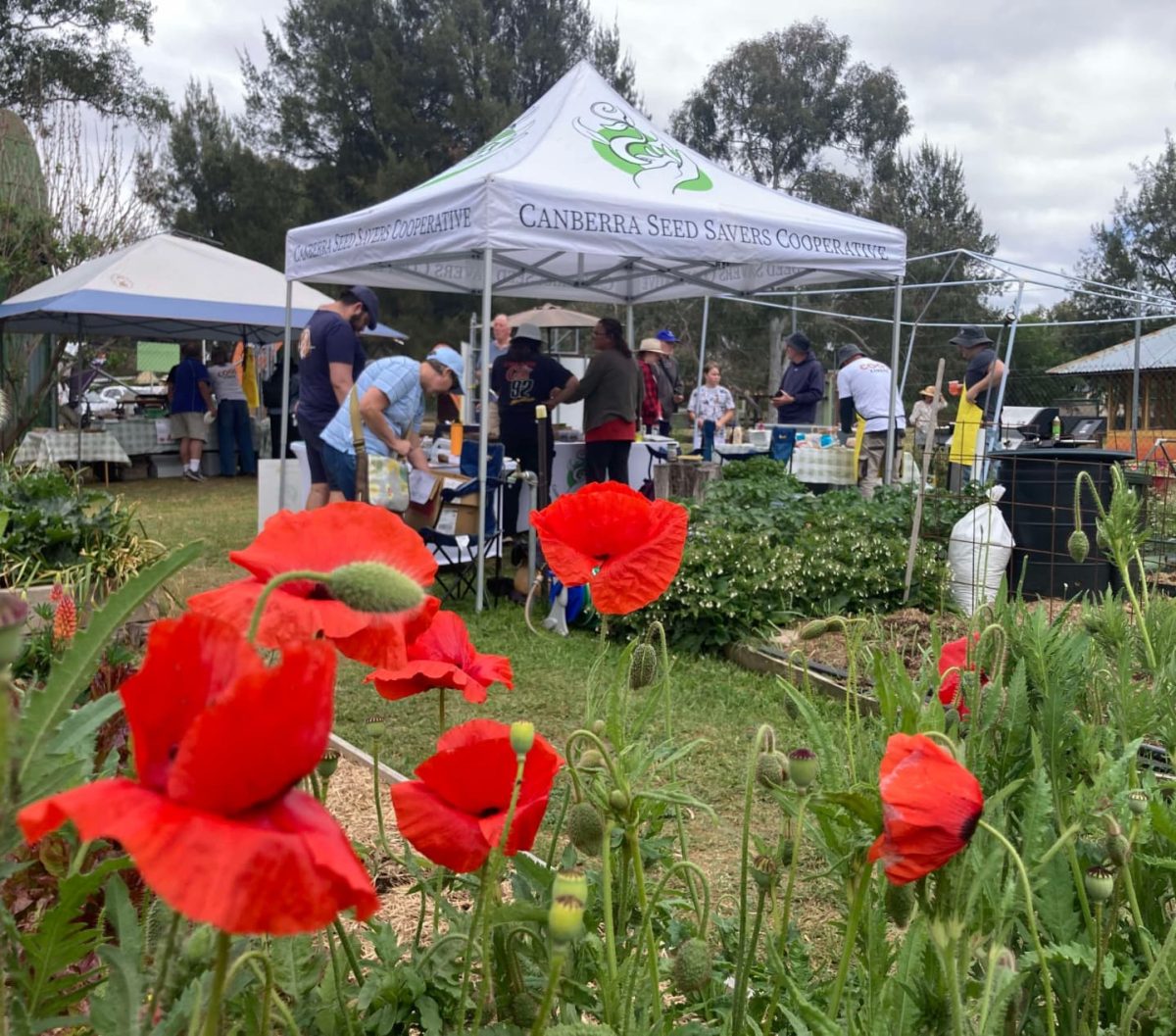 A marquee with Canberra Seed Savers logo in a garden setting.