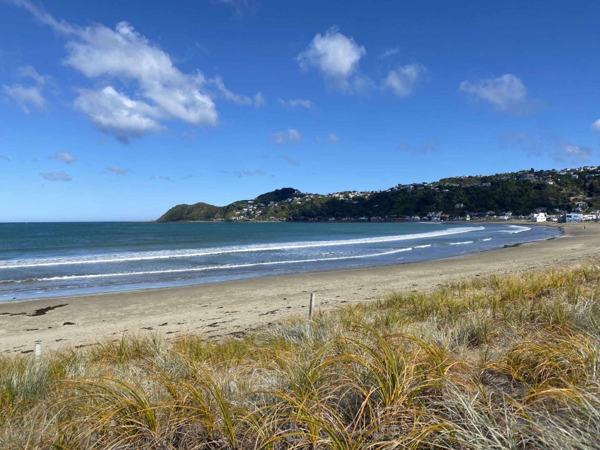 Beach at Wellington.