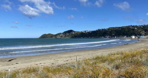 Hey Australia! New Zealand is beating us at more than rugby
