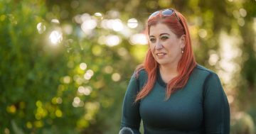 No more references to a paedophile's 'good character'; new violence safety scheme in proposed law changes