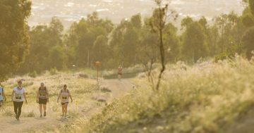 Stromlo Running Festival - SRF15